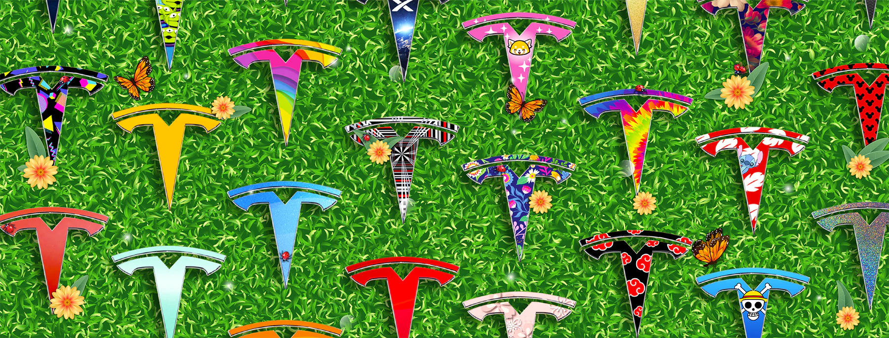 Elevate Your Tesla's Identity